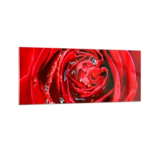 Obraz na skle - V kvapkách rosy - 100x40 cm