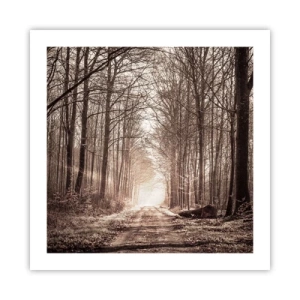 Plagát - Lesná katedrála - 50x50 cm