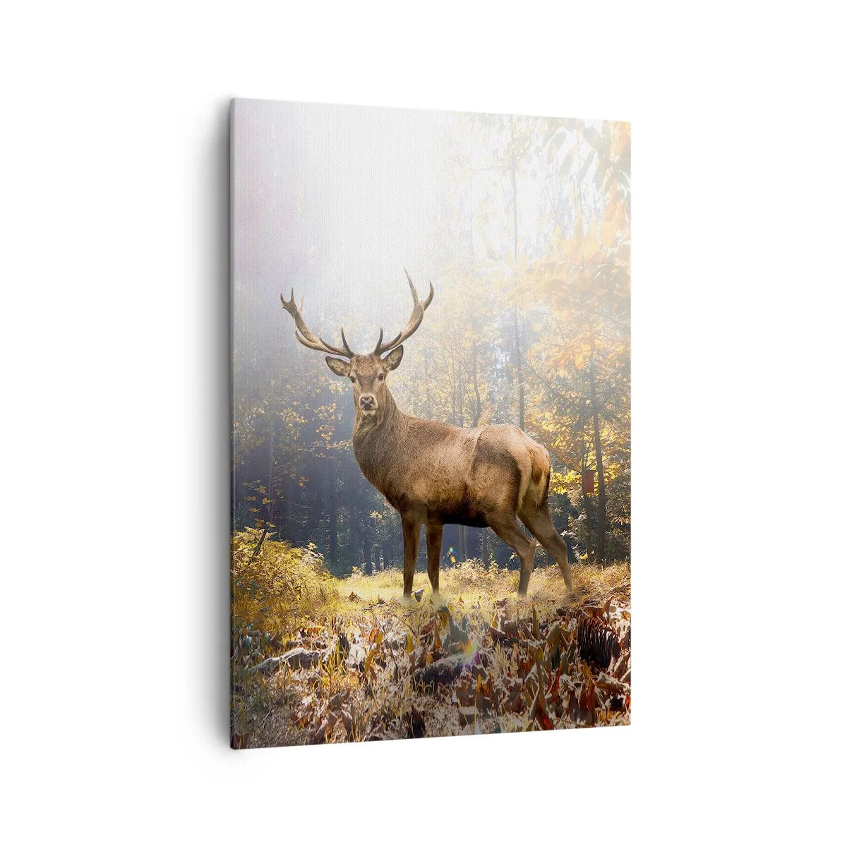 Obraz na plátne - Plné dôstojnosti - 70x100 cm