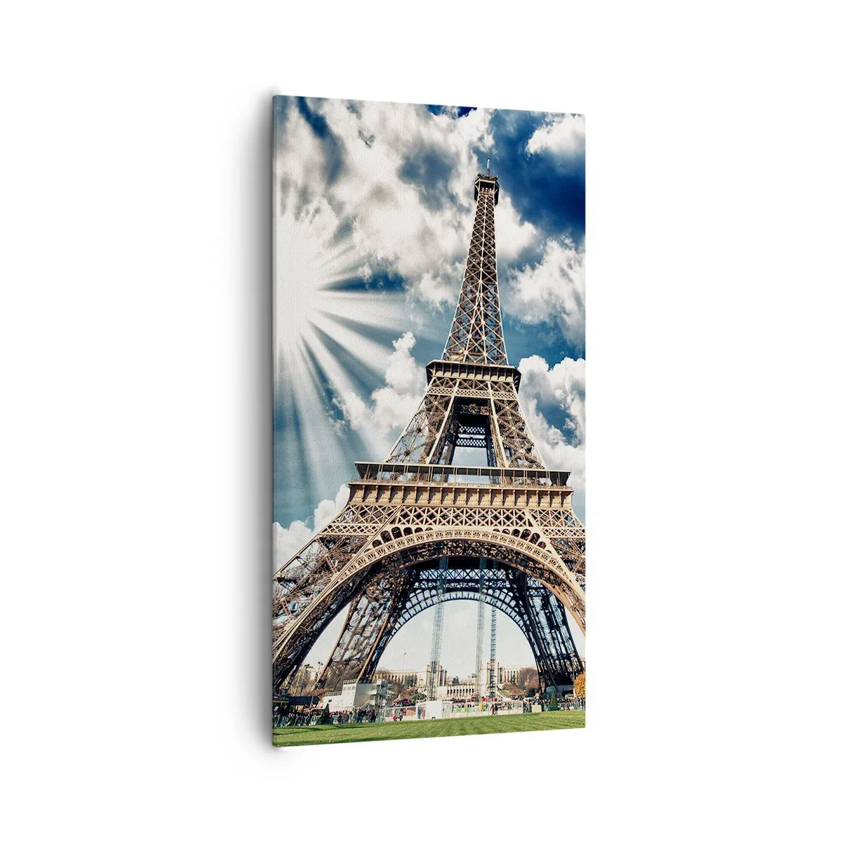 Obraz na plátne - Jediná taká pod slnkom - 65x120 cm