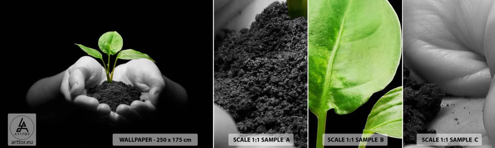 Vzorka Fototapeta Standard Eco - Milujem prírodu, chránim ju - Príroda, Život, Rastlina - 100x30 cm