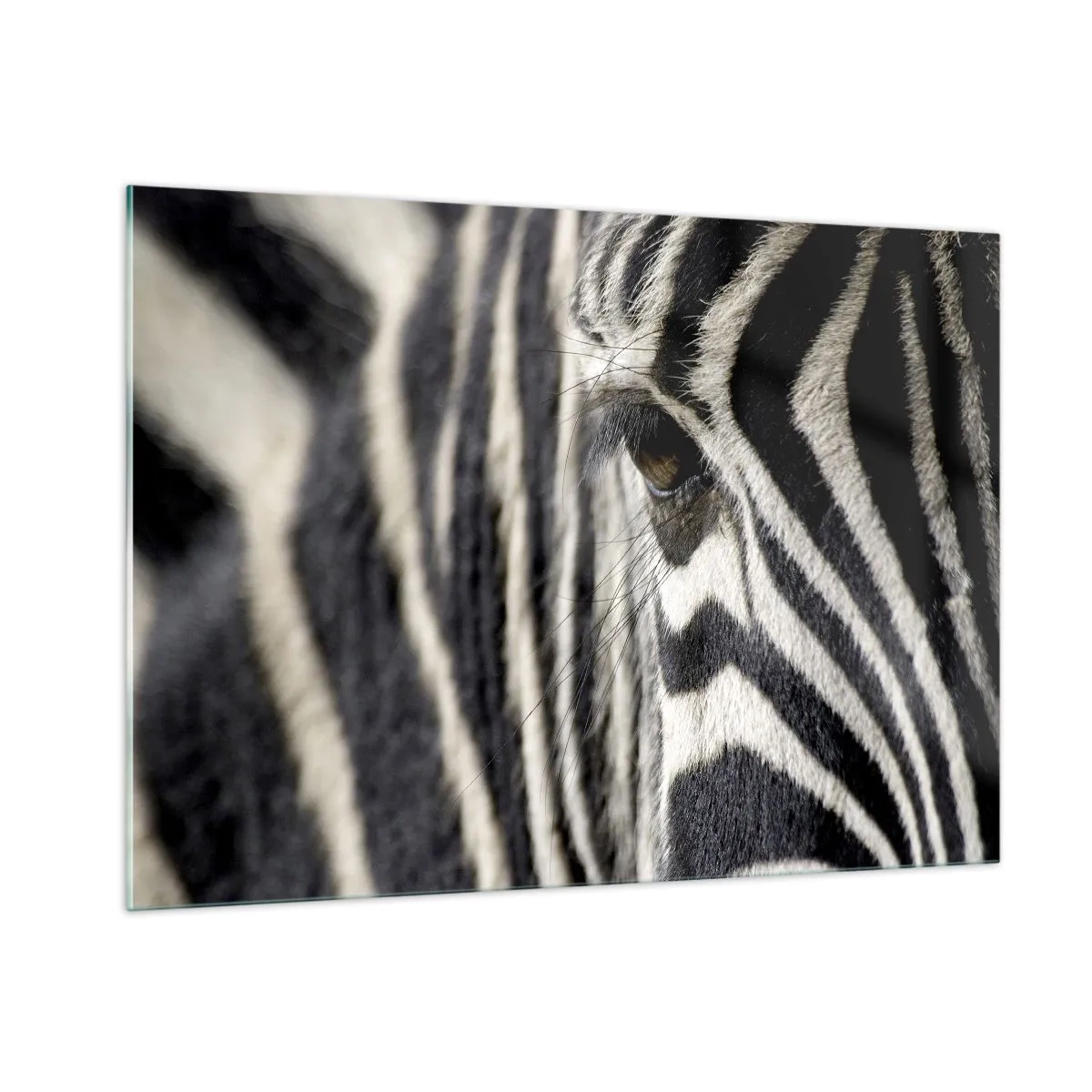 Obraz na skle - Portrét s pruhmi - 100x70 cm