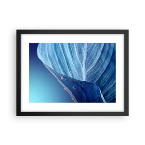 Plagát v čiernom ráme - Skryté kvapky modrej - 40x30 cm