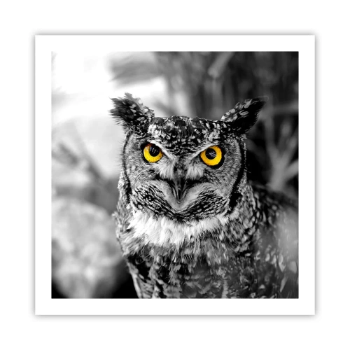 Plagát - Nič sa neschová - 60x60 cm