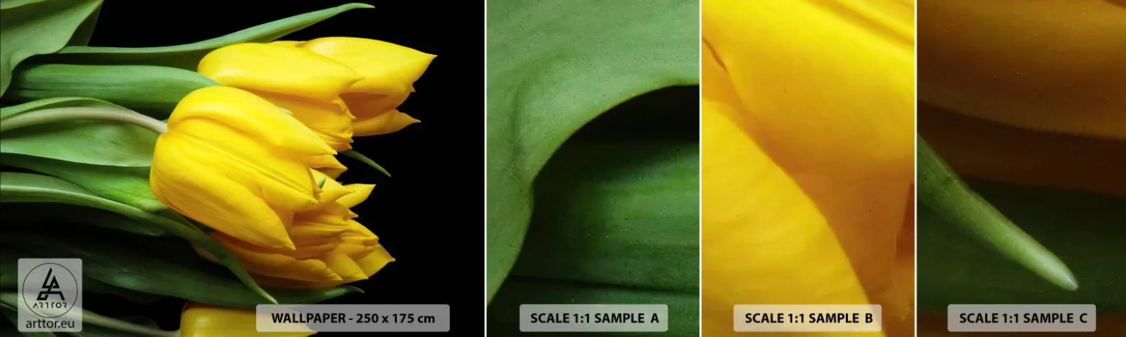 Vzorka samolepiacej fototapety Deluxe Sticker - Vznikli z čistého slnka - Kvety, Tulipány, Kytica kvetov - 100x30 cm