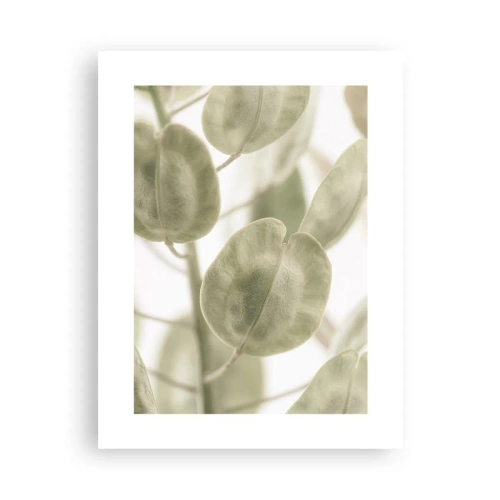 Plagát - Na začiatku bolo lístie… - 30x40 cm
