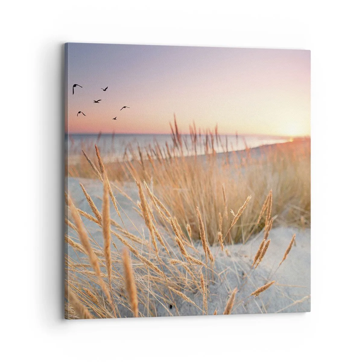 Obraz na plátne - Baltská uspávanka - 70x70 cm