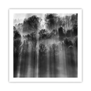 Plagát - V lúčoch svetla - 60x60 cm