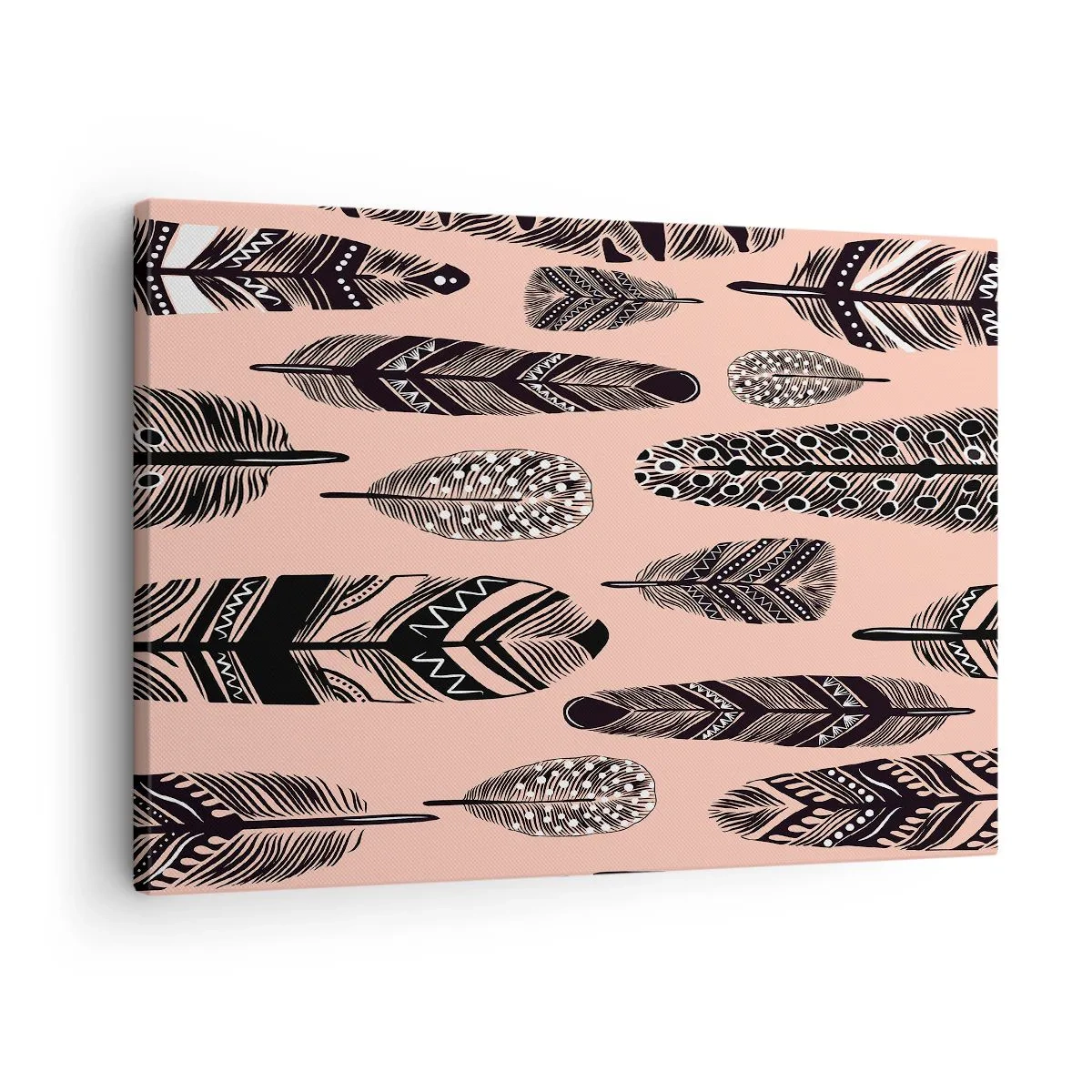 Obraz na plátne - Dekoratívne perie na svetlom pozadí - 70x50cm - Indiánska kolekcia - Moderná nástenná dekorácia do obývacej izby a spálne ARTTOR