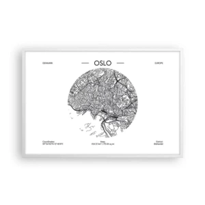 Plagát v bielom ráme - Anatómia Osla - 91x61 cm