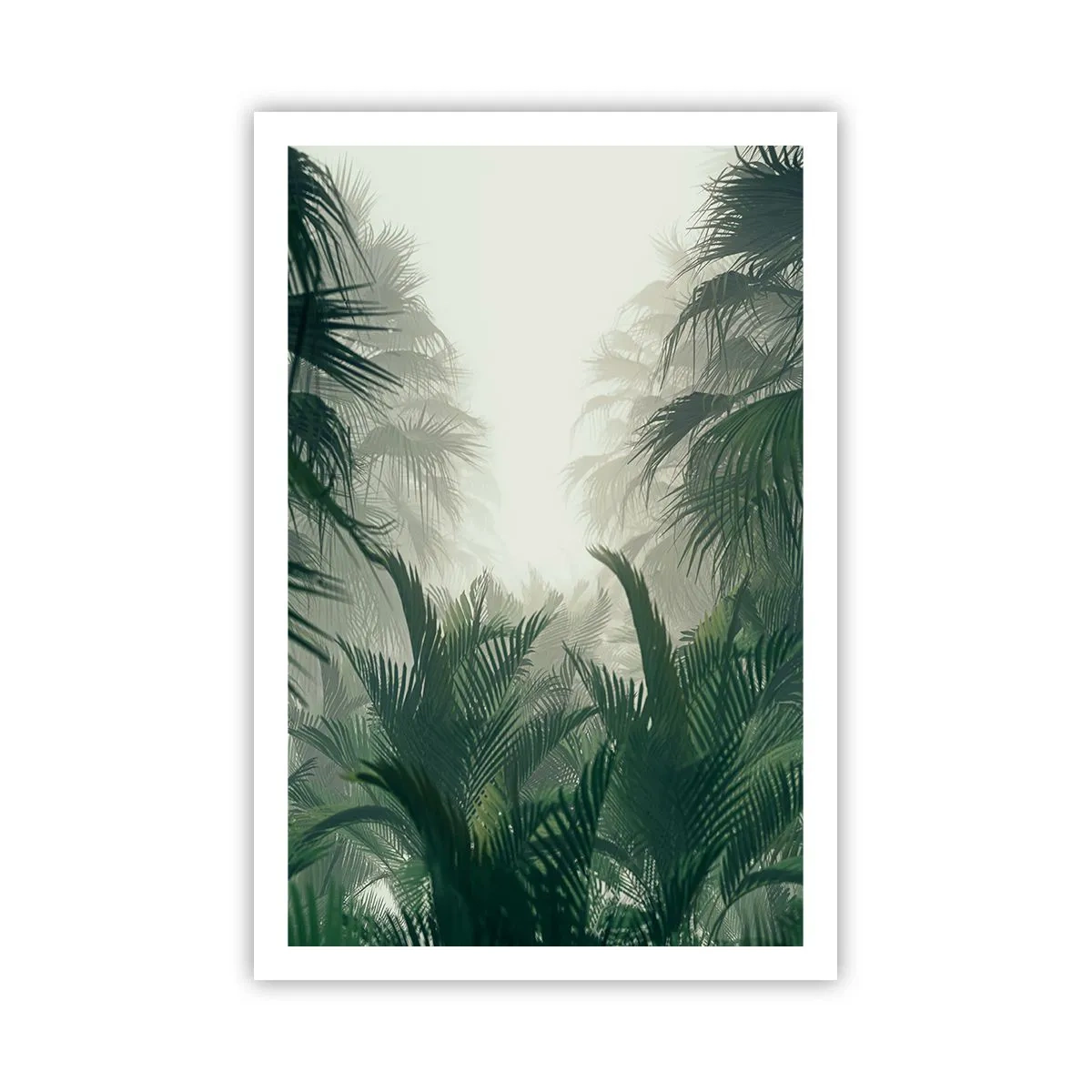 Plagát - Tropická záhada - 61x91 cm