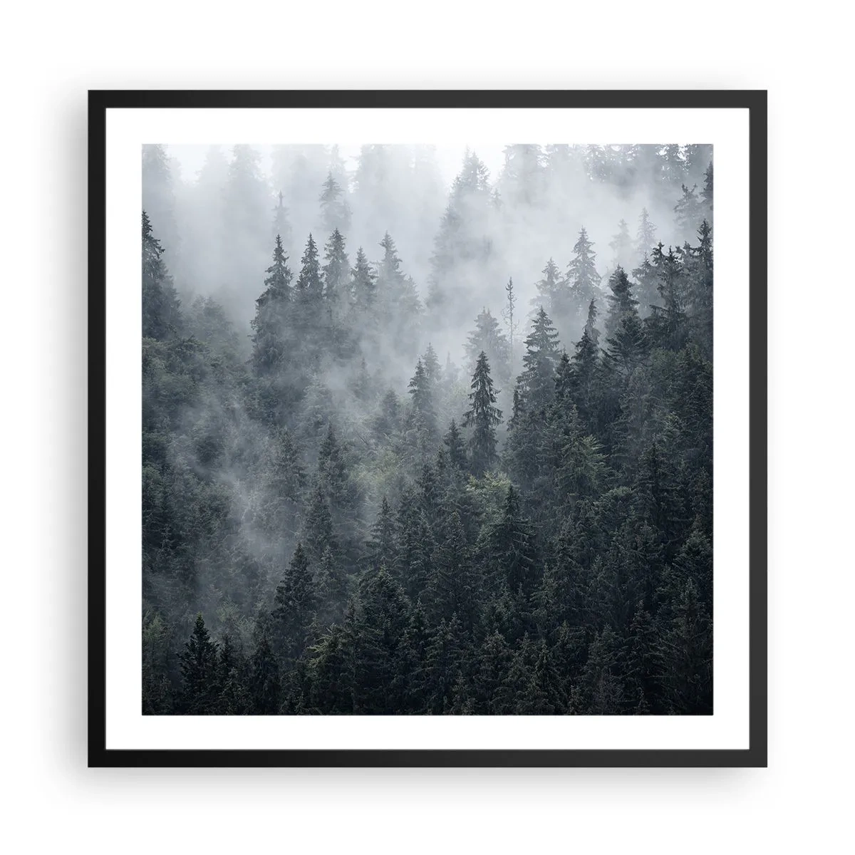 Plagát v čiernom ráme - Lesné svitania - 60x60 cm
