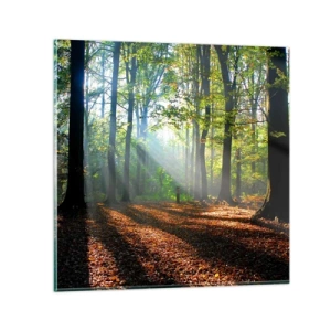 Obraz na skle - Svetlá a tiene - 40x40 cm