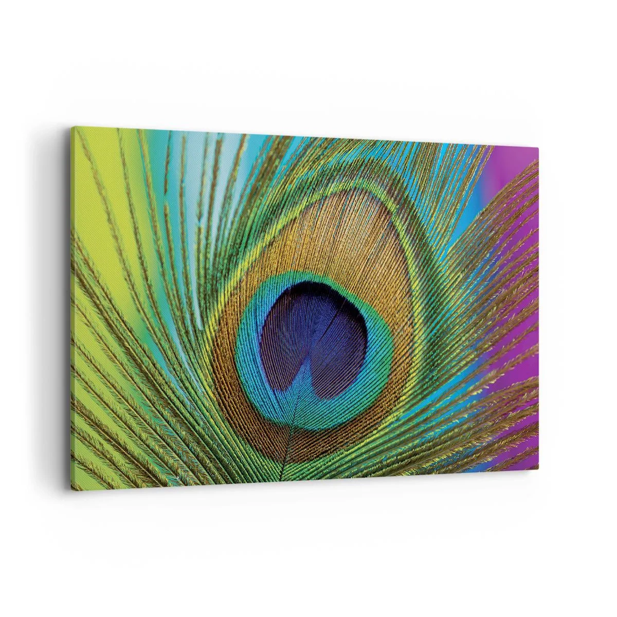 Obraz na plátne - Tvárou v tvár - 100x70 cm