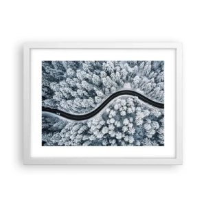 Plagát v bielom ráme - Zimným lesom - 40x30 cm