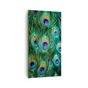 Obraz na plátne - Páví pohľad - 65x120 cm