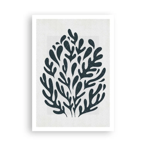 Plagát - Tvary prírody - 70x100 cm