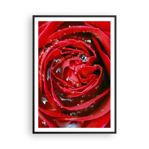 Plagát v čiernom ráme - V kvapkách rosy - 70x100 cm