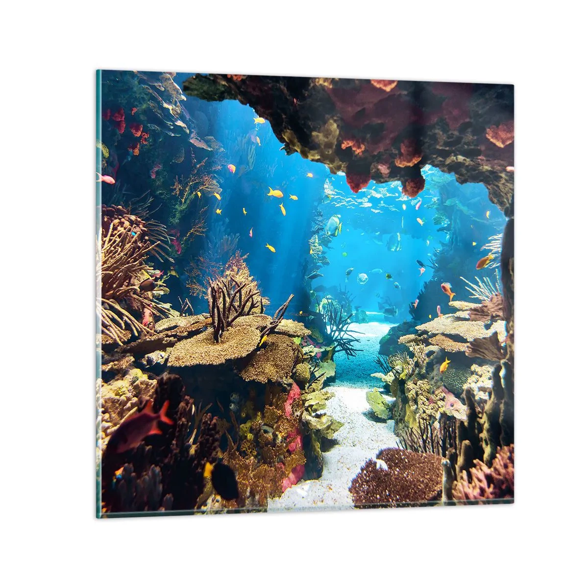 Obraz na skle - Ani vo sne ťa to nenapadlo - 60x60 cm