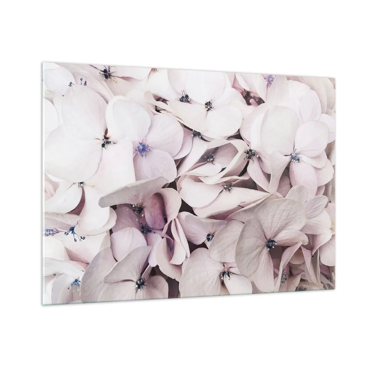 Obraz na skle - V záplave kvetov - 100x70 cm