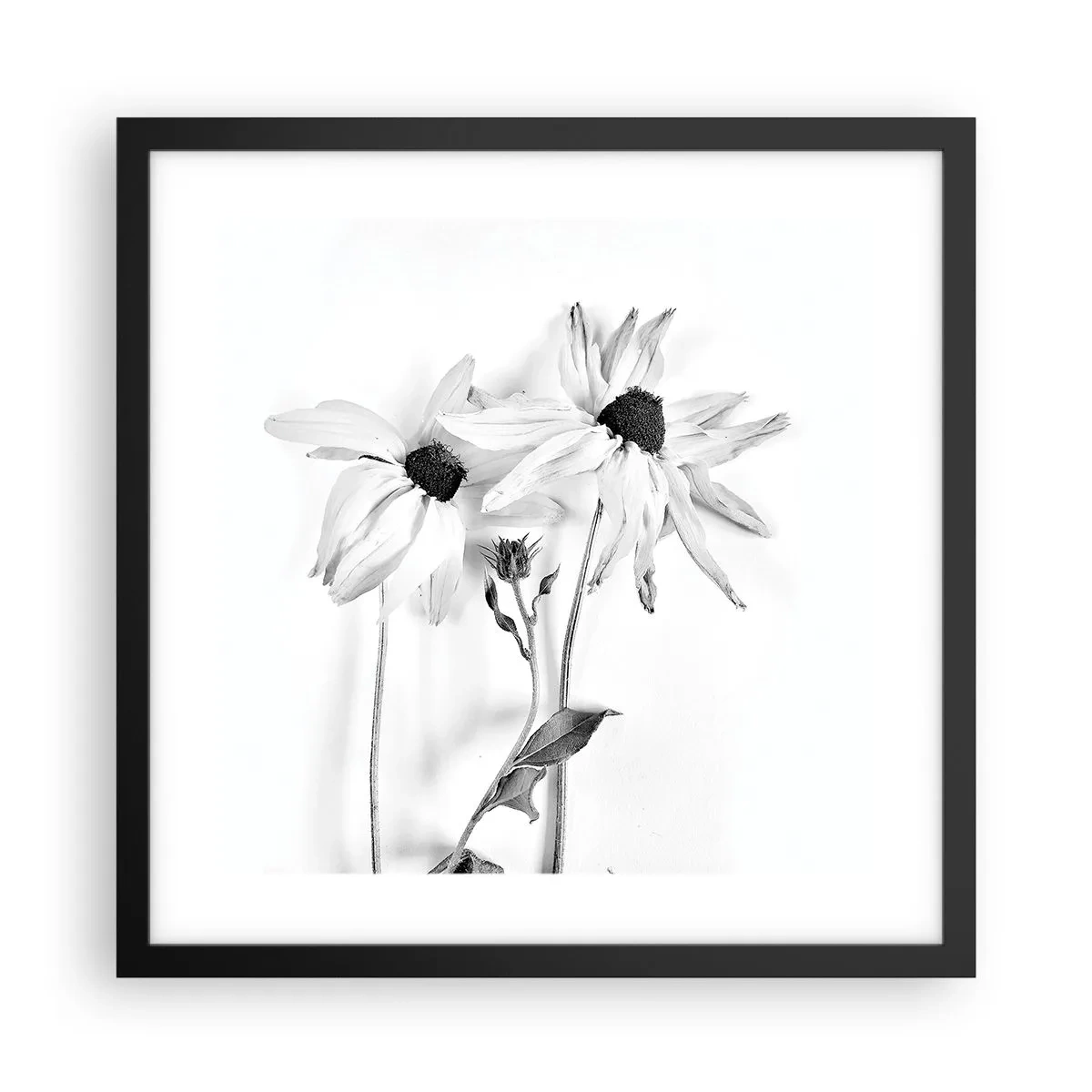 Plagát v čiernom ráme - Nikto nechce byť sám - 40x40 cm