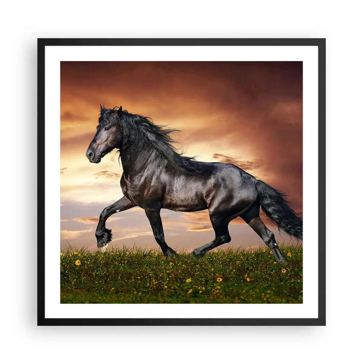 Plagát v čiernom ráme - Čierny knieža - 60x60 cm