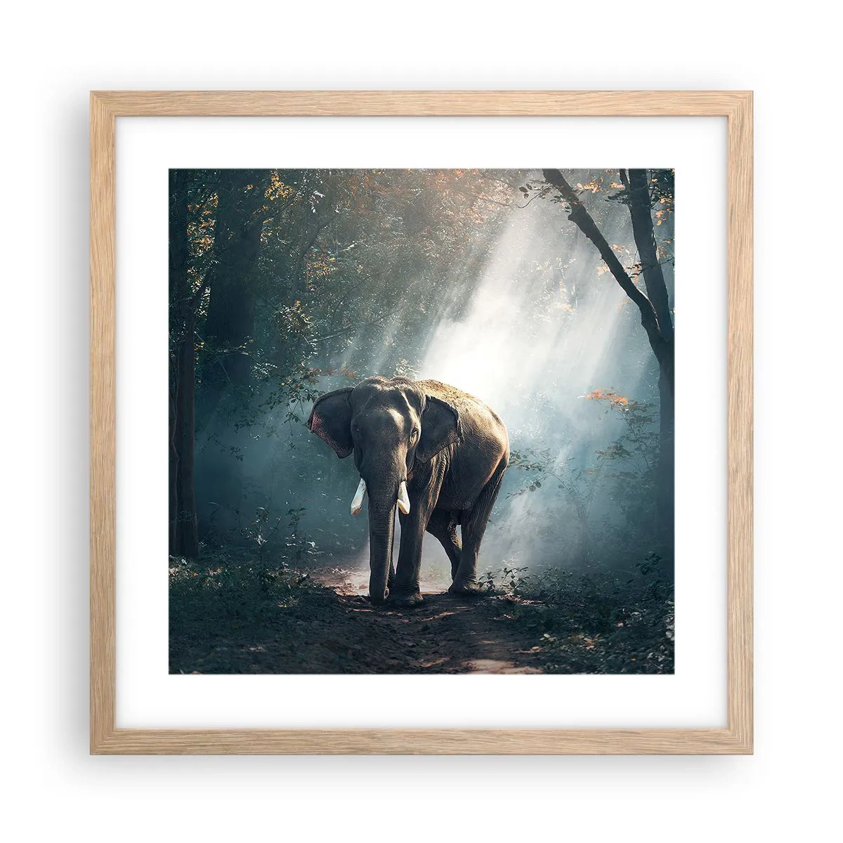 Plagát v ráme zo svetlého duba - Pokojná prechádzka - 40x40 cm