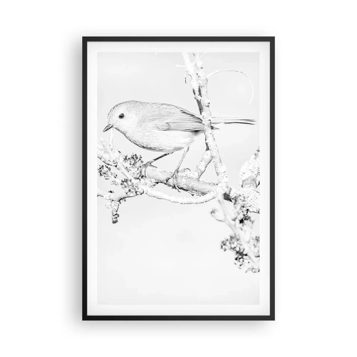 Plagát v čiernom ráme - Zimné ráno - 61x91 cm