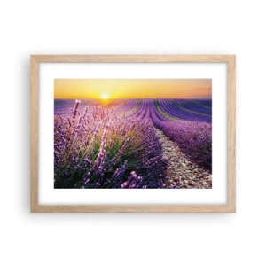 Plagát v ráme zo svetlého duba - Voňavý lán - 40x30 cm