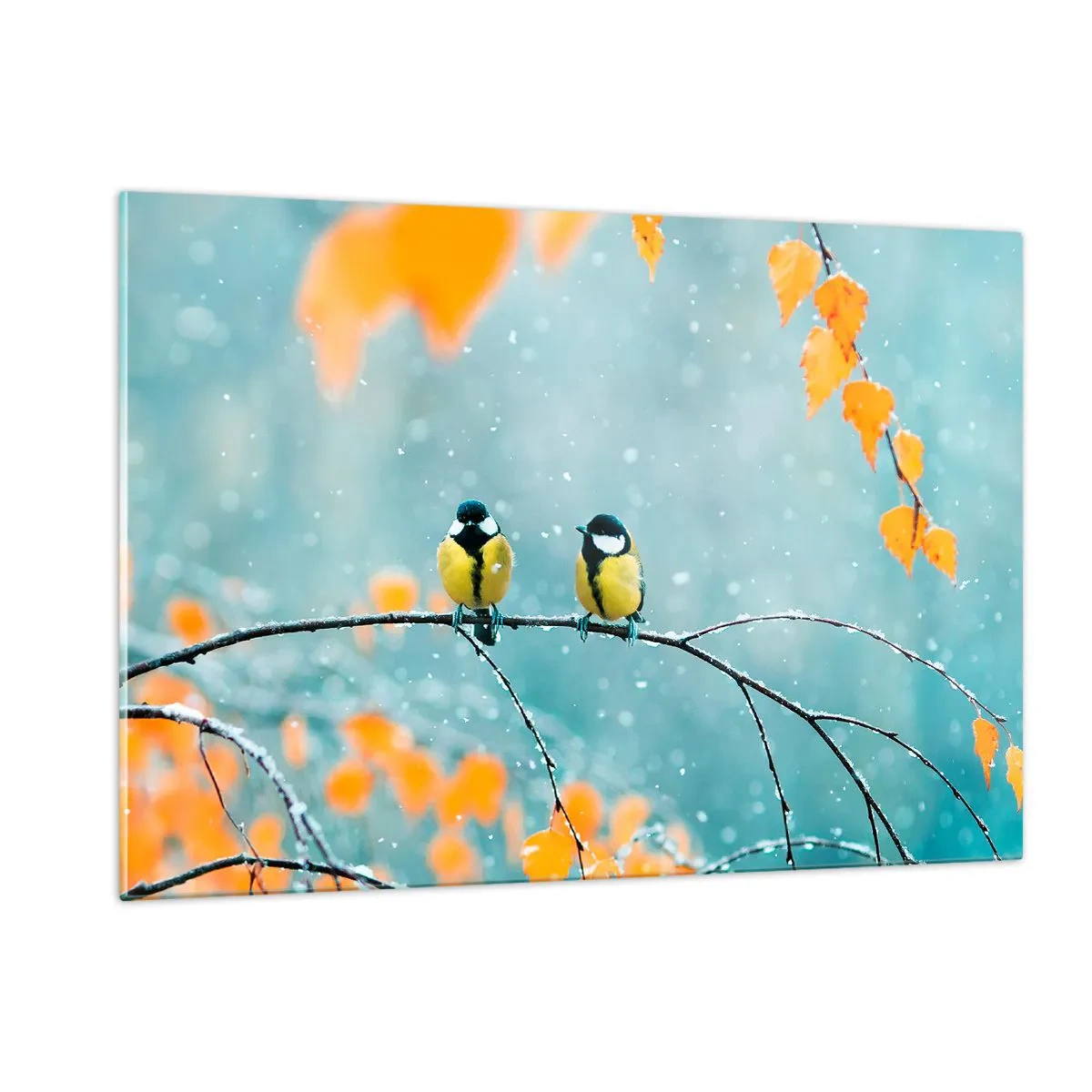 Obraz na skle - Vtáčie klebety - 120x80 cm