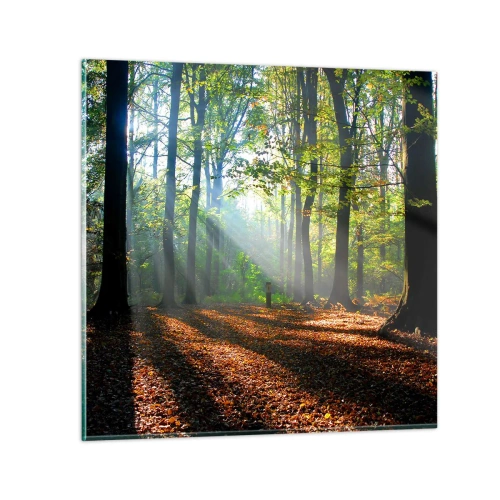 Obraz na skle - Svetlá a tiene - 40x40 cm