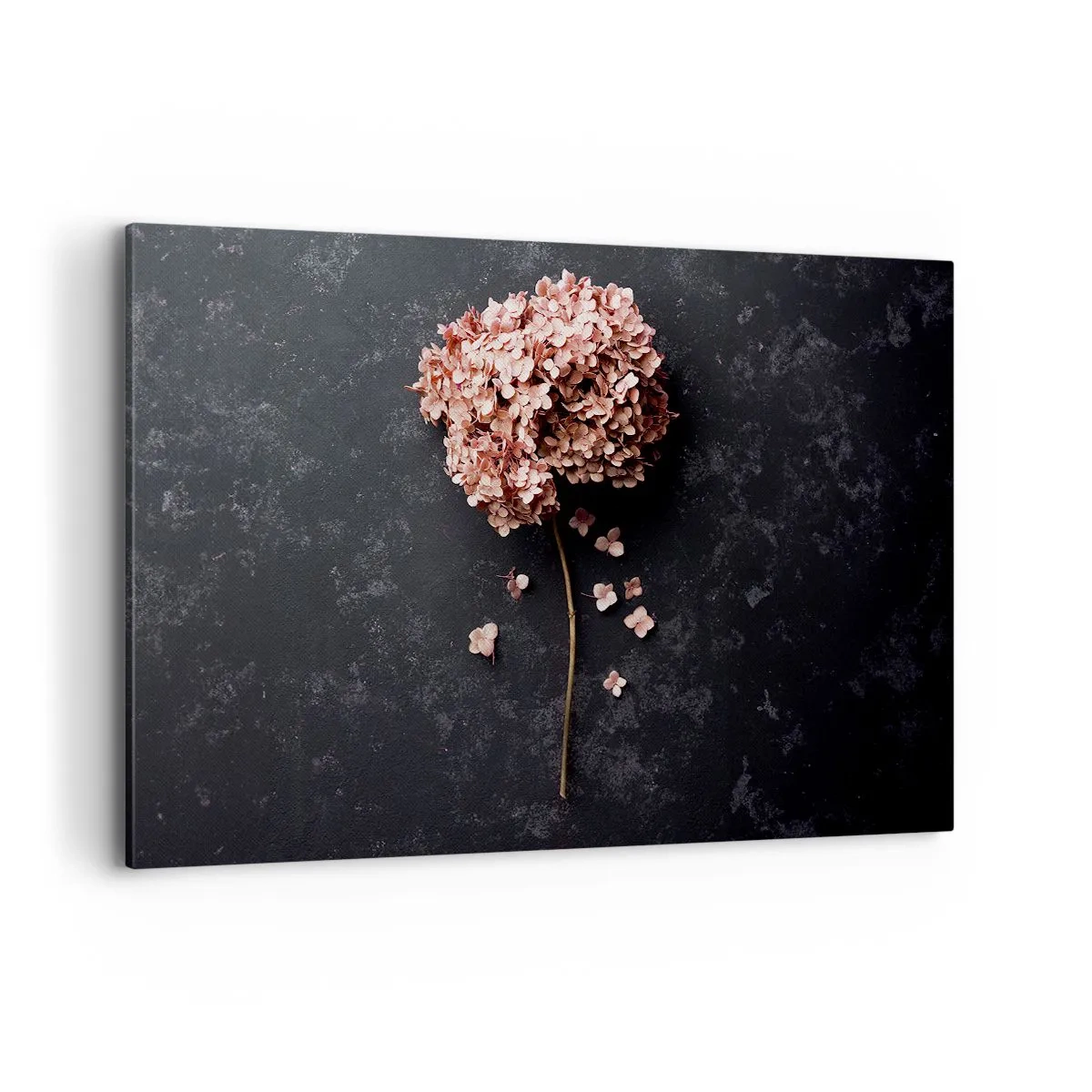 Obraz na plátne - Skutočne romantické znamenie - 120x80 cm