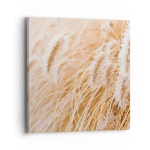 Obraz na plátne - Zlaté šušťanie tráv - 40x40 cm