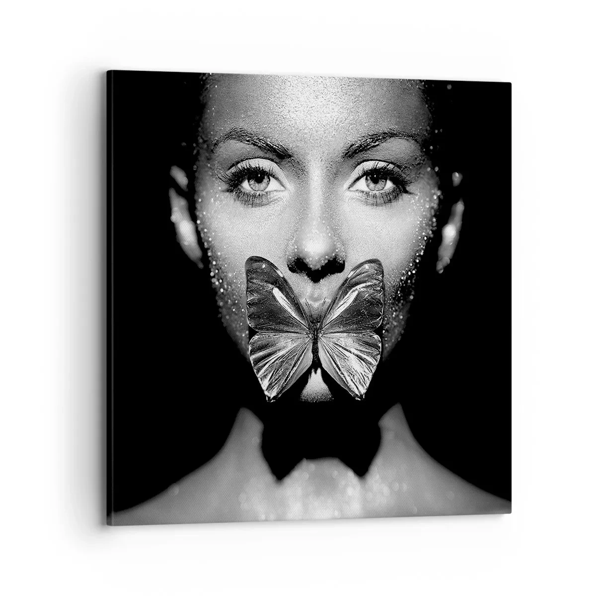 Obraz na plátne - Motýlí bozk - 70x70 cm
