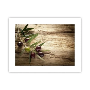 Plagát - Priamo od prírody - 40x30 cm