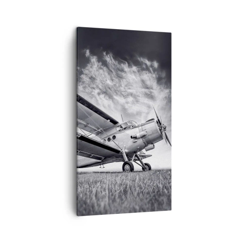 Obraz na plátne - Okrídlený pútnik - 45x80 cm