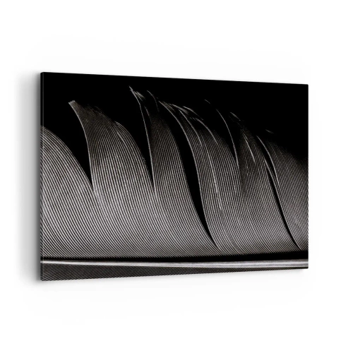 Obraz na plátne - Perie – nádherná konštrukcia - 120x80 cm
