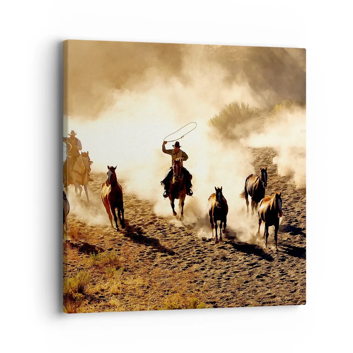 Obraz na plátne - Skutočne divoký západ - 40x40 cm