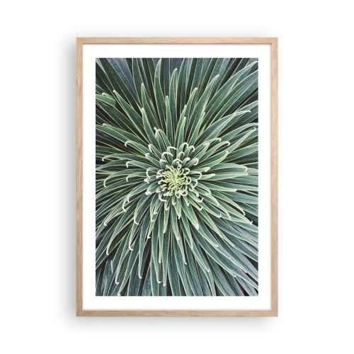 Plagát v ráme zo svetlého duba - Zrodenie hviezdy - 50x70 cm