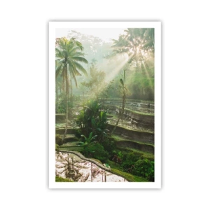 Plagát - Vyrastať na slnku - 61x91 cm