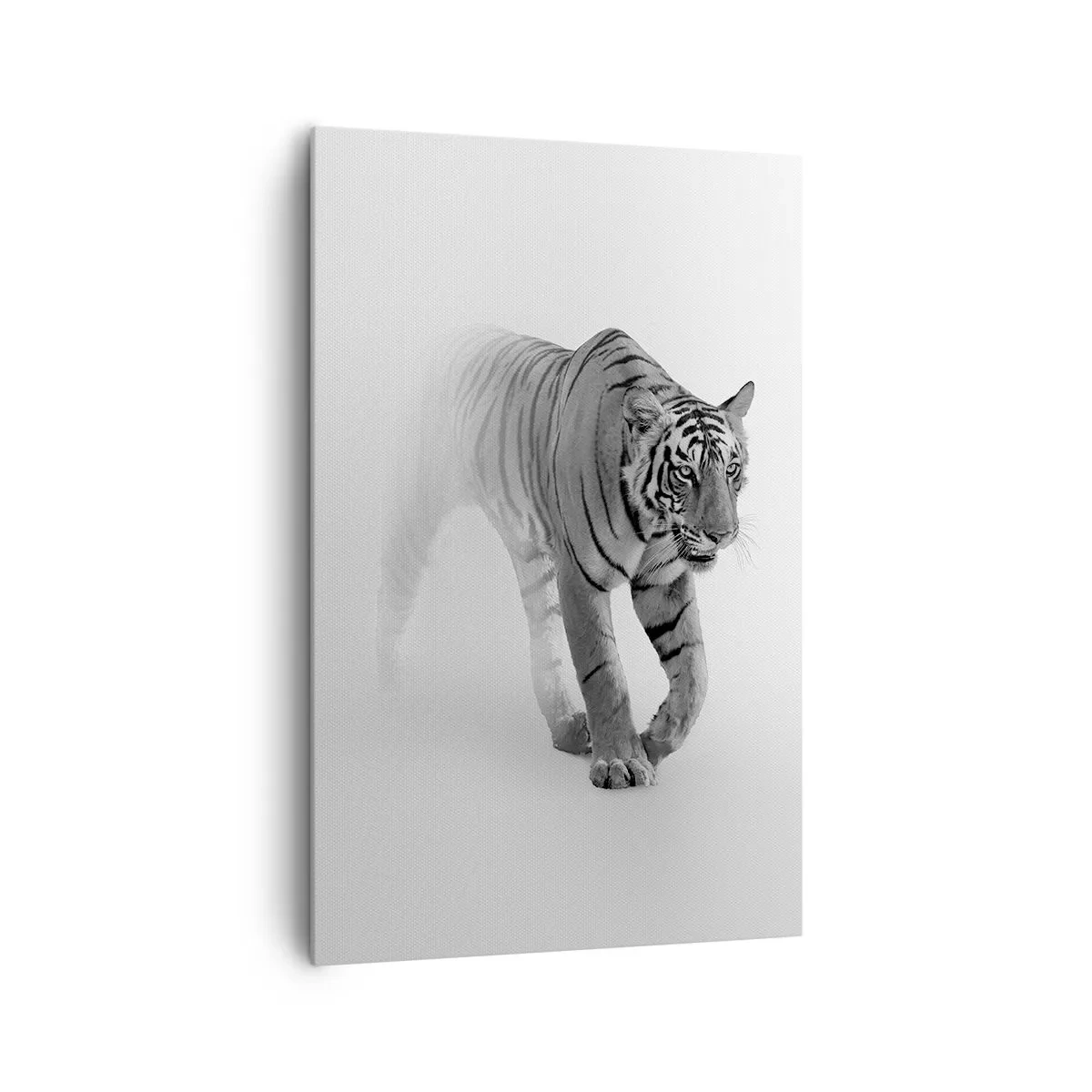 Obraz na plátne - Prikrčený v hmle - 80x120 cm