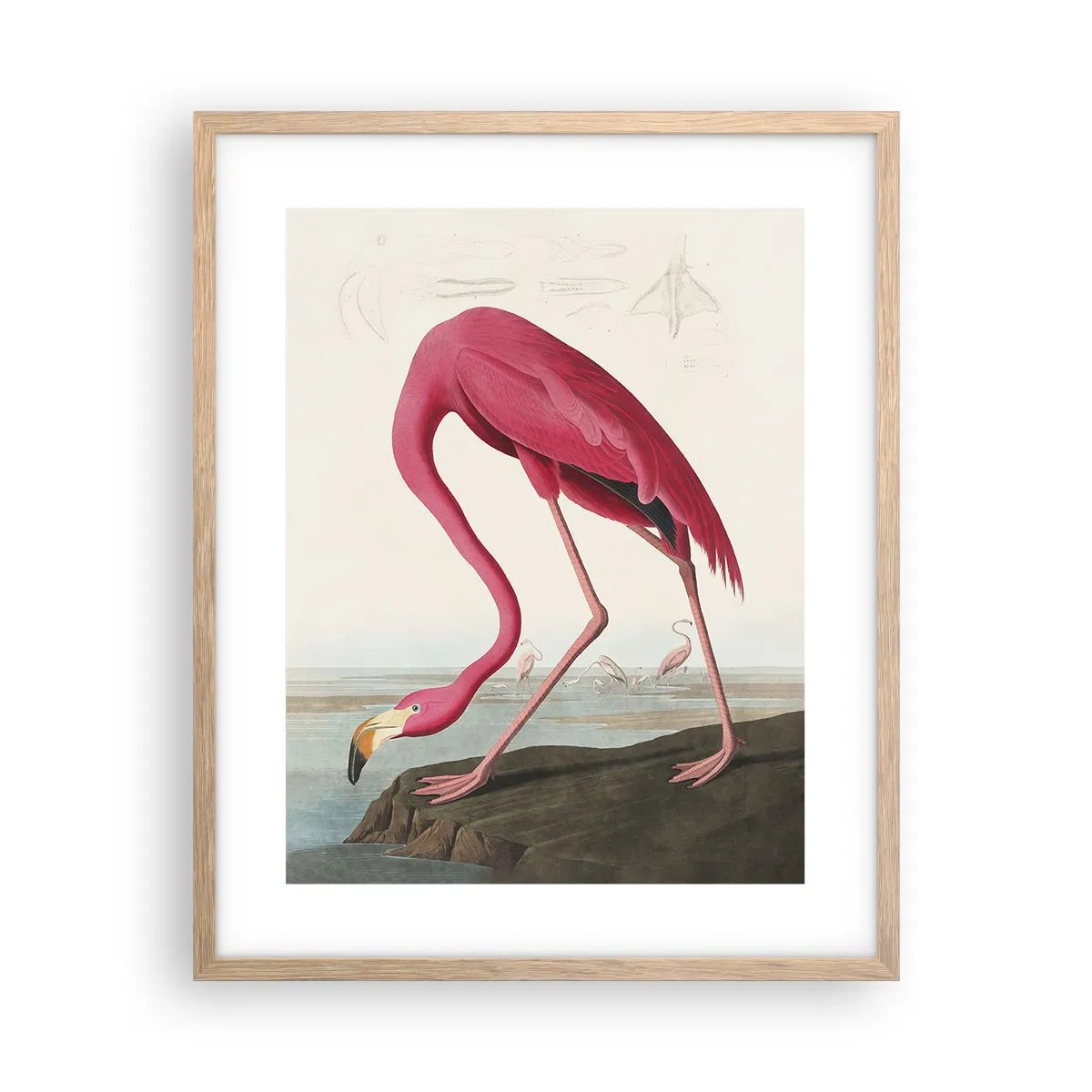 Plagát v ráme zo svetlého duba - Úžasná tvora - 40x50 cm