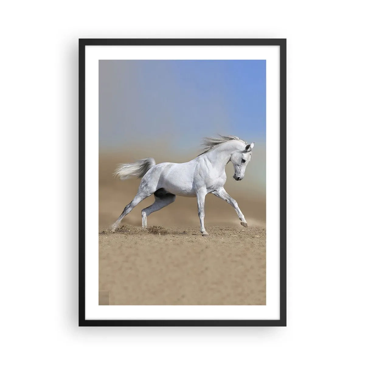 Plagát v čiernom ráme - Biely kôň cválajúci na púštnom pozadí - 50x70cm - Najkrajšia arabská rozprávka - Moderná nástenná dekorácia do obývacej izby a spálne ARTTOR
