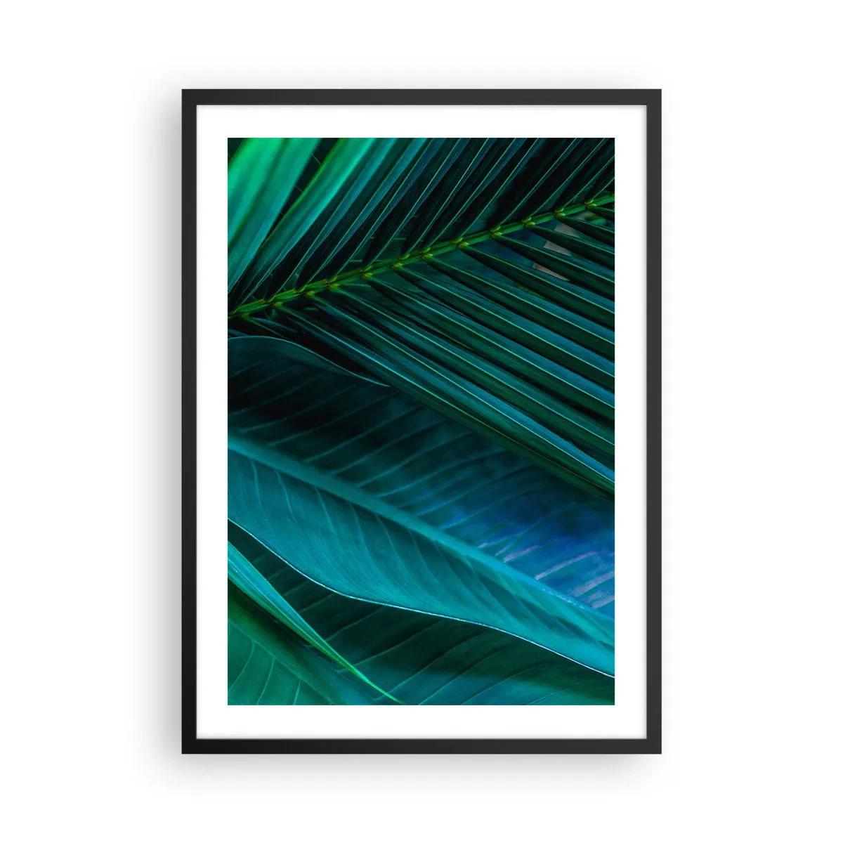 Plagát v čiernom ráme - Tropické listy v odtieňoch tmavozelenej - 50x70cm - Anatómia zelene - Moderná nástenná dekorácia do obývacej izby a spálne ARTTOR
