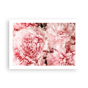 Plagát - Ružový sen - 70x50 cm