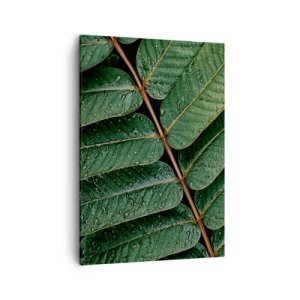 Obraz na plátne - V zelenom rytme - 50x70 cm