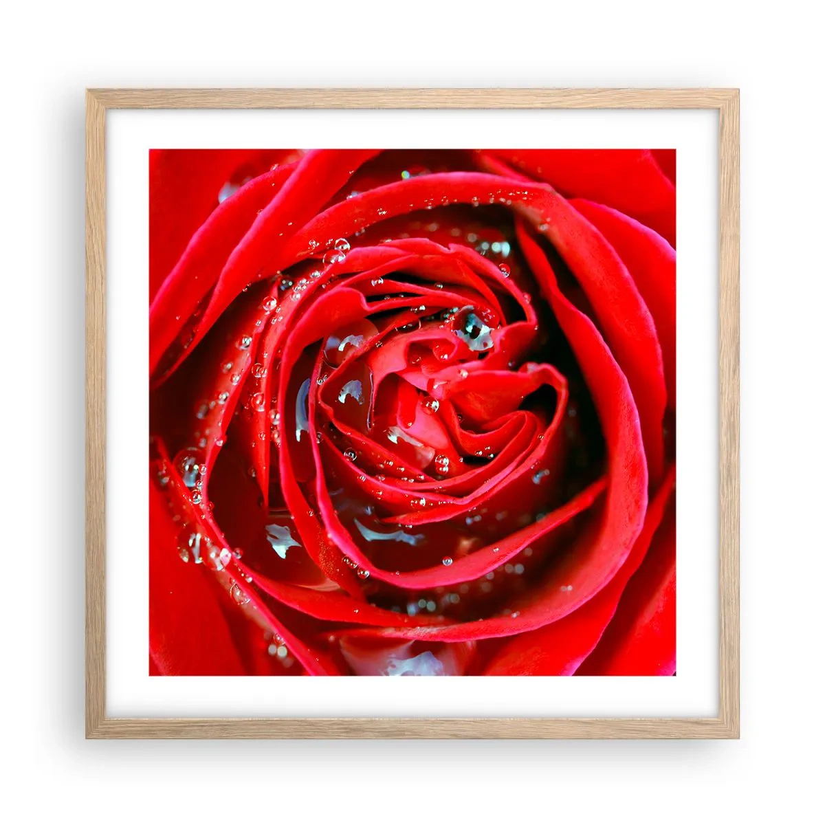 Plagát v ráme zo svetlého duba - V kvapkách rosy - 50x50 cm