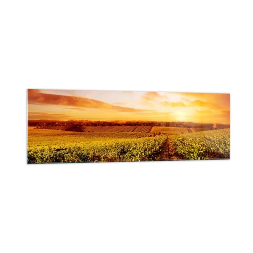 Obraz na skle - Jemne ovocné s nádychom slnka - 160x50 cm