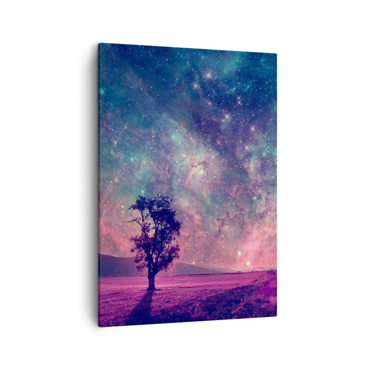 Obraz na plátne - Pod magickou oblohou - 50x70 cm