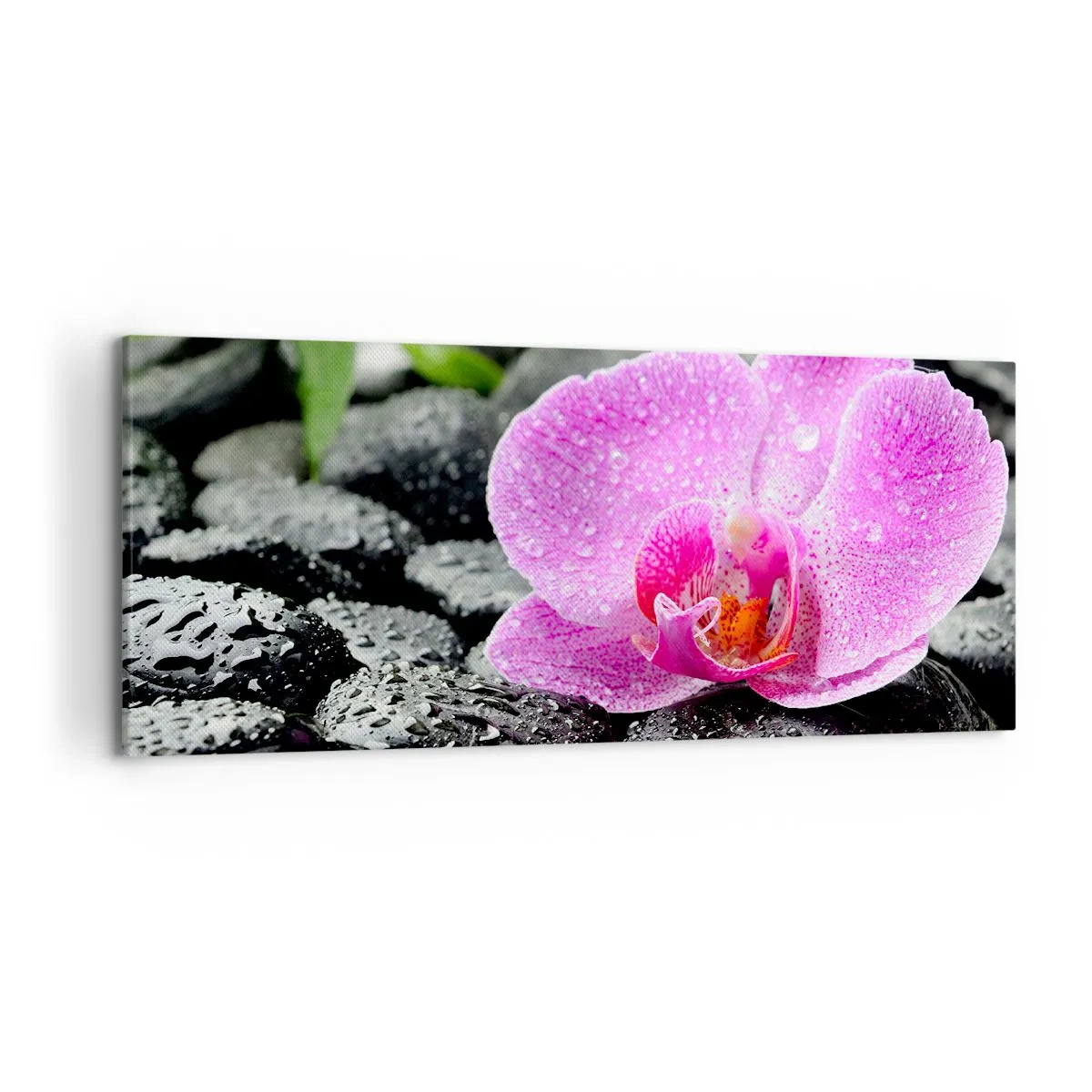 Obraz na plátne - Ako otvorené srdce - 120x50 cm